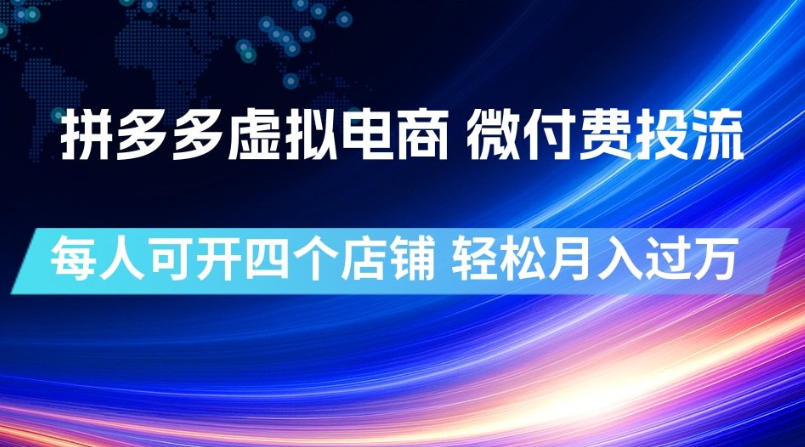 拼多多虚拟电商，微付费投流玩法，每人可开四个店，轻松月入过1W【揭秘】-网创之家