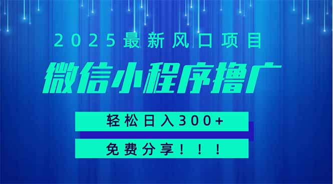微信小程序撸广，最新风口项目，日入300+ 免费分享 可批量操作 小白可…-网创之家