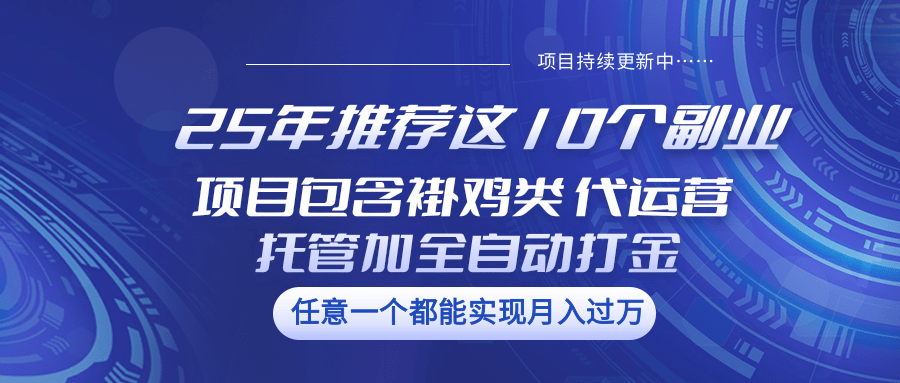 25年推荐这10个副业 项目包含褂鸡类、代运营托管类、全自动打金类-网创之家