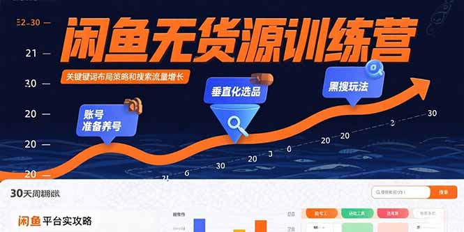闲鱼无货源训练营:账号准备养号/垂直化选品/黑搜玩法,0基础30天盈利指南-网创之家