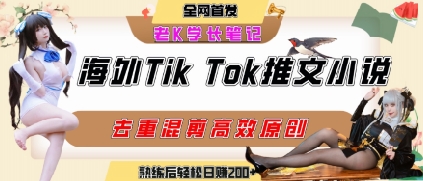 海外tiktok小说推文暴力项目，高停留率，高转化率，上手后一天搞顿饭钱不是问题-网创之家