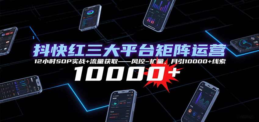 抖快红三大平台矩阵运营,12小时SOP实战+流量获取-风控-扩量,月引10000+线索-网创之家