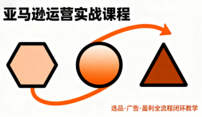 毕方电商·亚马逊全站会员课程(更新3月)-网创之家