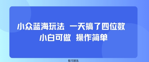 小众蓝海玩法 一天搞了四位数 小白可做 操作简单-网创之家