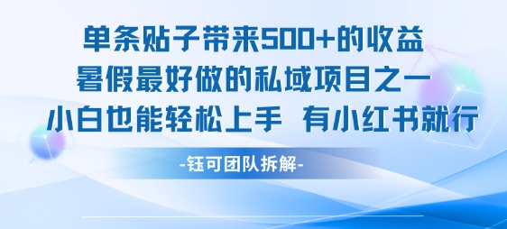 单条贴子带来5张的收益，暑假最好做的私域项目之一，小白也能轻松上手，有小红书就行-网创之家