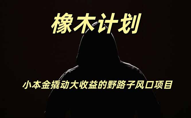 橡木计划，小投入撬动高回报的风口野路子项目，一天投入2小时左右-网创之家