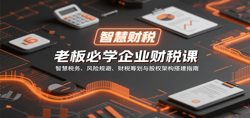 老板必学企业财税课:智慧税务、风险规避、财税筹划与股权架构搭建指南-网创之家