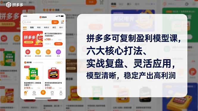 拼多多可复制盈利模型课，六大核心打法、实战复盘、灵活应用，模型清晰，稳定产出高利润-网创之家