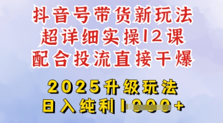 2025全新升级抖音带货玩法，一天纯利四位数，从剪辑到选品再到发布投流，超详细玩法揭秘-网创之家