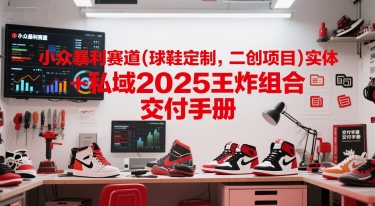 小众暴利赛道(球鞋定制，二创项目)实体+私域2025王炸组合  交付手册-网创之家