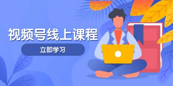 视频号实战课程，轻IP打造与运营技巧，掌握核心方法与策略-网创之家