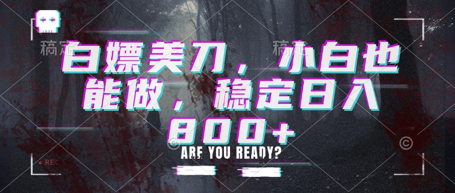 白嫖美刀，小白也能做，稳定日入800+-网创之家