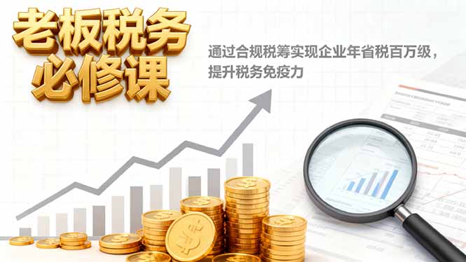 老板税务必修课，通过合规税筹实现企业年省税百万级，提升税务免疫力-网创之家