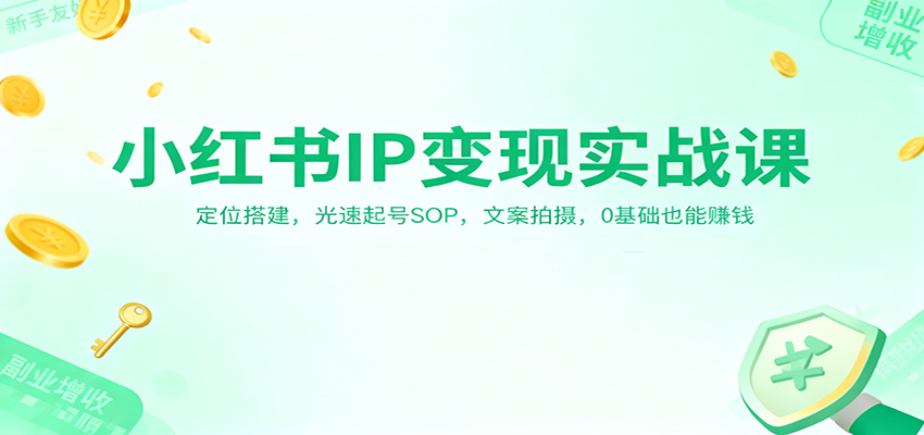 小红书IP变现实战课:定位搭建,光速起号SOP,文案拍摄,0基础也能赚钱-网创之家