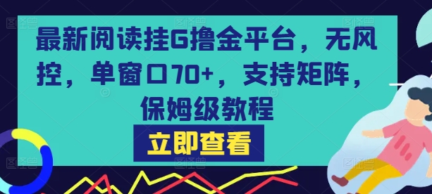最新阅读挂G撸金平台，无风控，单窗口70+，支持矩阵，保姆级教程【揭秘】-网创之家