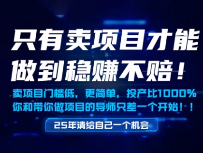 只有卖项目才能做到稳挣不赔,门槛低,更简单,你也可以年入百个W【揭秘】-网创之家