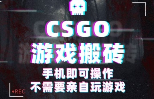 CSGO游戏挂G捡漏,单日扫货5张+,年底小高峰上车可吃肉,手机即可操作,兼职副业创业网创【揭秘】-网创之家