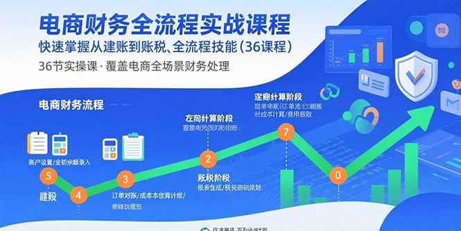 电商财务全流程实战课程：快速掌握从建账到报税的全流程技能(36节课-网创之家
