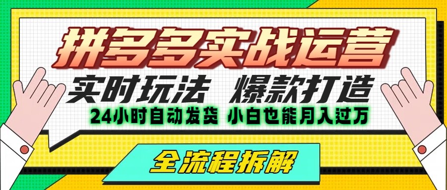拼多多最新实战运营高投产：长久稳定项目，单店利润一天三位数-网创之家