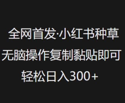 全网首发，小红书种草无脑操作，复制黏贴即可，轻松日入3张-网创之家