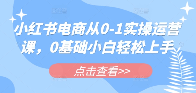 小红书电商从0-1实操运营课，0基础小白轻松上手-网创之家