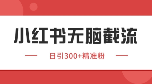 小红书截流同行客源，独家野路子获客玩法 日引200+暴力获客【揭秘】-网创之家
