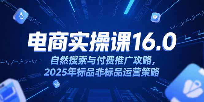淘宝电商运营课16.0,自然搜索与付费推广攻略,2025年标品非标品运营策略-网创之家