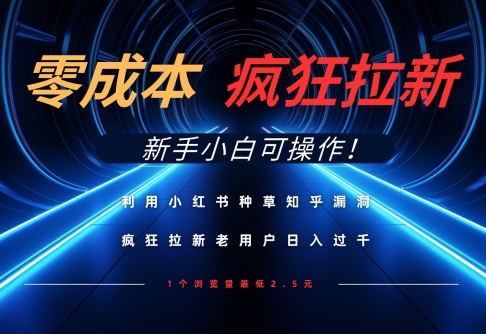 利用小红书种草知乎漏洞，零成本疯狂拉新日入数张，新手小白可操作-网创之家