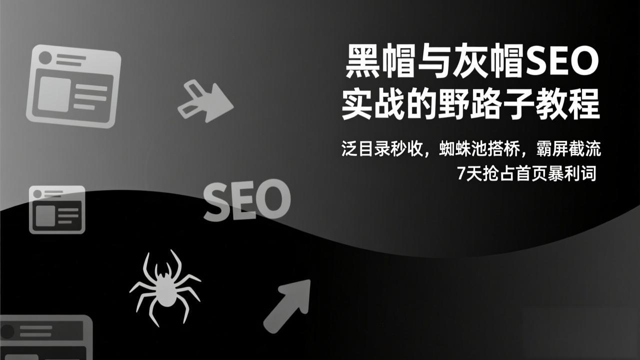 黑帽与灰帽SEO实战的野路子教程：泛目录秒收，蜘蛛池搭桥，霸屏截流，7天抢占首页暴利词-网创之家