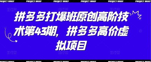 拼多多打爆班原创高阶技术第43期,拼多多高价虚拟项目-网创之家