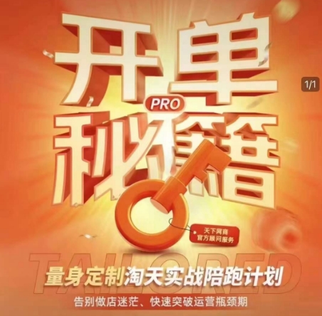 淘宝开单秘籍PRO,量身定制淘天实战陪跑计划,告别做店迷茫、快速突破运营瓶颈期(更新)-网创之家
