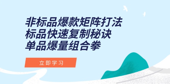 非标品爆款矩阵打法，标品快速复制秘诀，单品爆量组合拳-网创之家