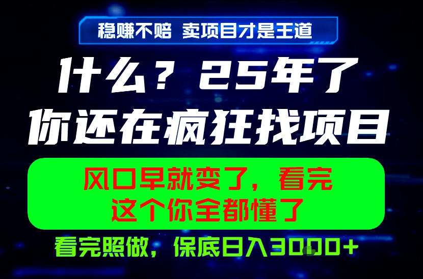 26年，请不要疯狂的找项目做了！卖项目才是真的稳賺不赔，看完照做，保底日入1k+【揭秘】-网创之家