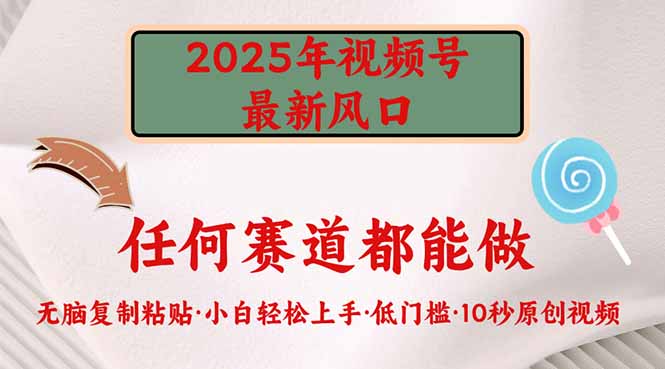 2025年视频号新风口，低门槛只需要无脑执行-网创之家