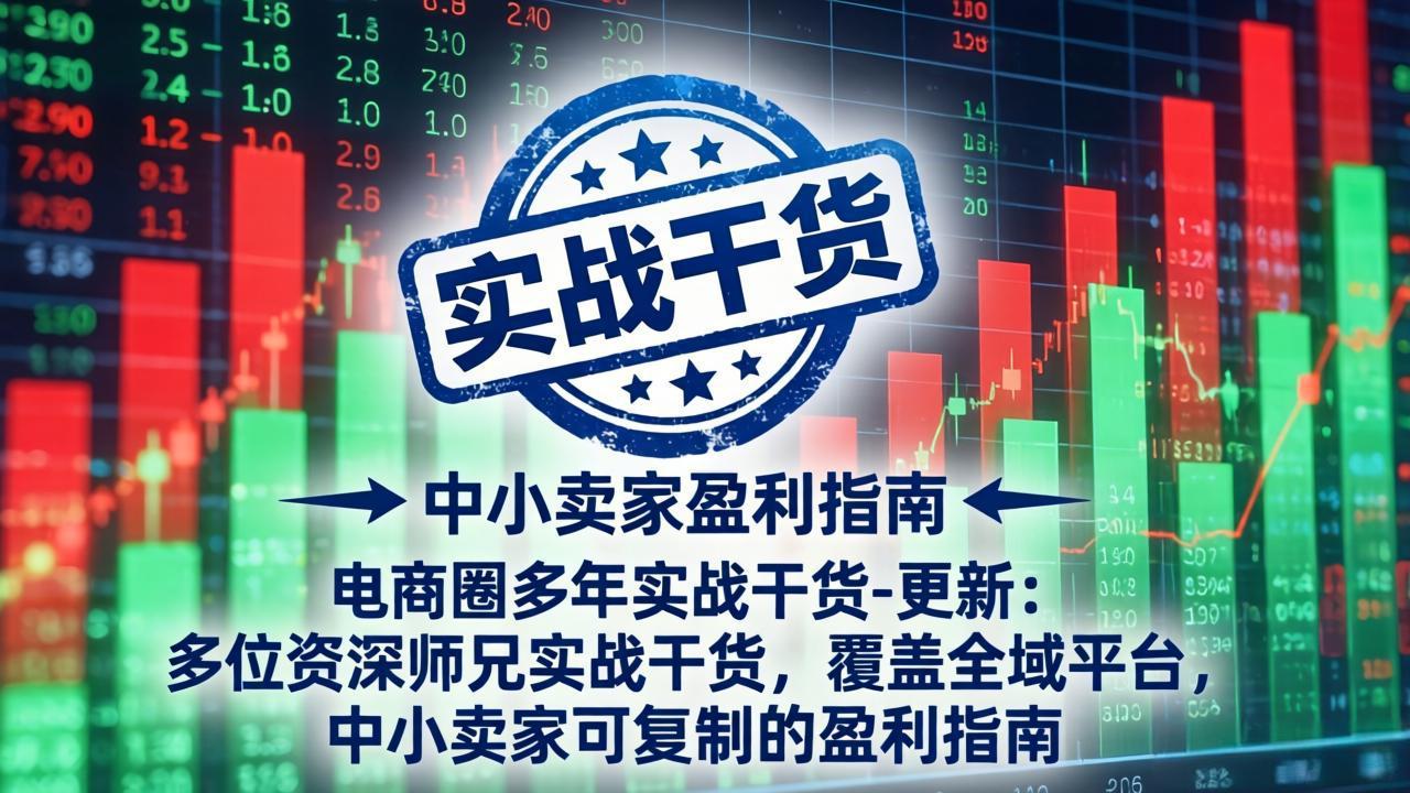 电商圈多年实战干货-更新4月：多位资深师兄实战干货，覆盖全域平台，中小卖家可复制的盈利指南-网创之家