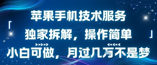 苹果手机技术服务，独家拆解，操作简单，小白可做，月过1W不是梦-网创之家