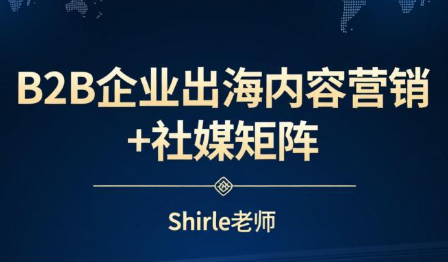 shirle老师·B2B企业出海内容营销+社媒矩阵-网创之家