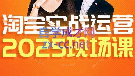 推易·淘宝全套运营现场课程(更新12月)-网创之家