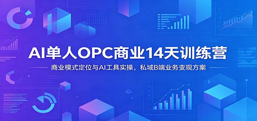 AI单人OPC商业14天训练营：商业模式定位与AI工具实操，私域B端业务变现方案-网创之家