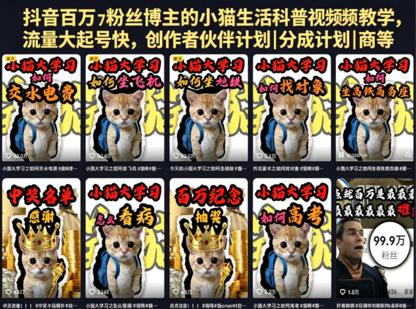抖音百万粉丝博主的小猫生活科普视频教学，流量大起号快，创作者伙伴计划|分成计划|商单|收徒等-网创之家