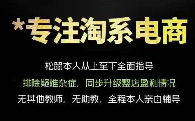 松鼠会电商VIP课程，从基础布局到高阶优化，助你掌握淘宝运营逻辑，提升店铺流量与转化(更新0809)-网创之家