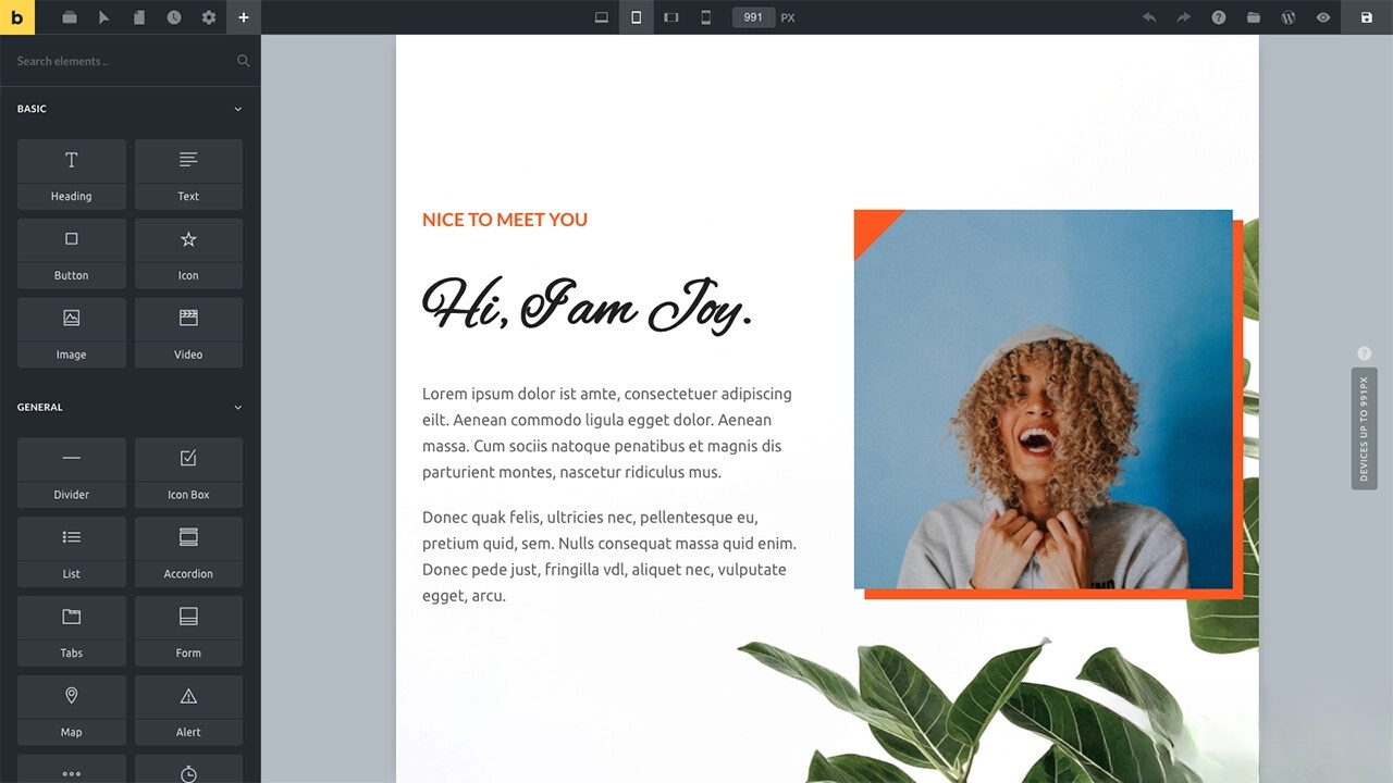 WordPress主题Bricks v1.9 破解版-网创之家