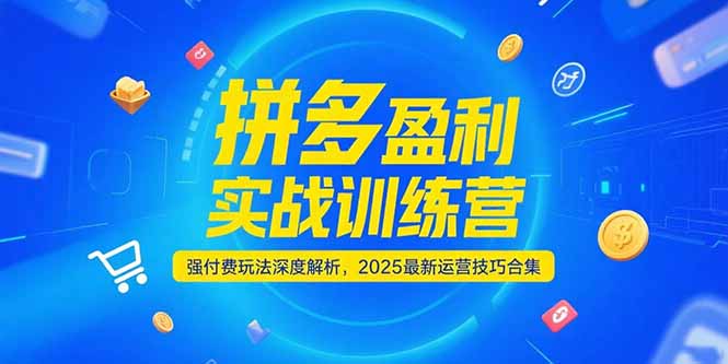 拼多多盈利实战训练营，强付费玩法深度解析，2025运营技巧合集-更新6月-网创之家