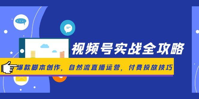 视频号实战全攻略,爆款脚本创作,自然流直播运营,付费投放技巧-网创之家