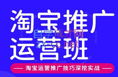美迪电商·淘宝高级运营班+推广运营班(更新9月)-网创之家