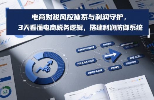 电商财税风控体系与利润守护，3天看懂电商税务逻辑，搭建利润防御系统-网创之家