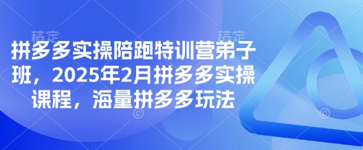 拼多多实操陪跑特训营弟子班，2025年2月拼多多实操课程，海量拼多多玩法-网创之家