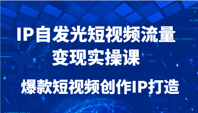 IP自发光短视频流量变现实操课，爆款短视频创作IP打造-网创之家