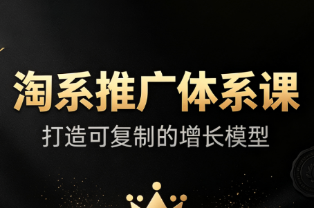大山·淘系推广体系课-网创之家
