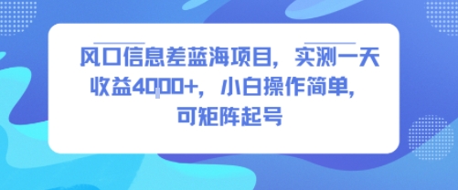 风口信息差蓝海项目，实测一天收益4k+，小白操作简单，可矩阵起号-网创之家